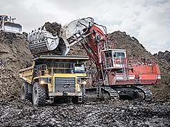 �������͹�����